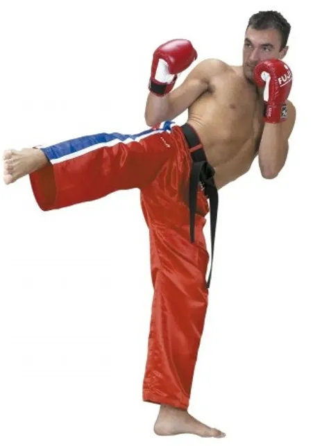 kickboxing occidental