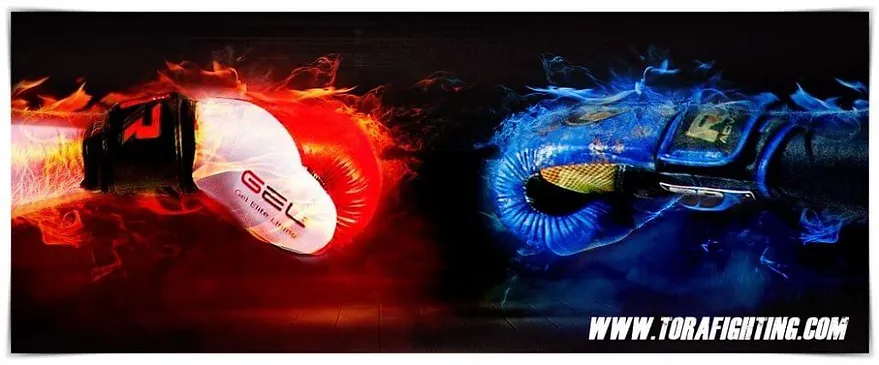 marcas guantes kickboxing